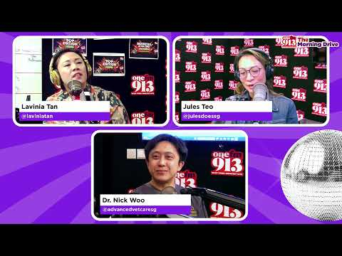 The Morning Drive X Dr. Nick Woo (Advanced Vetcare) Fur Better Or Worse #5 | ONE FM 91.3