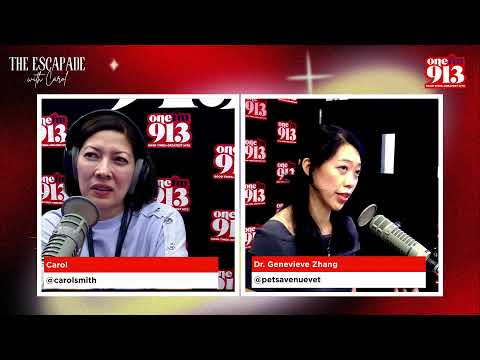 Protecting Your Pets: Essential Haze Tips with Dr. Genevieve Zhang 🌫️ | ONE FM 91.3