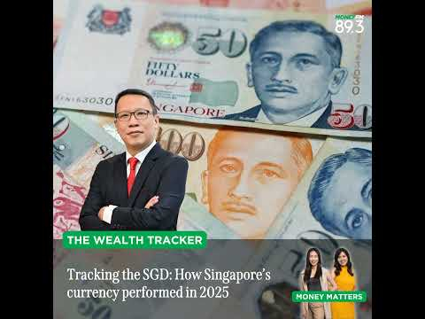 Wealth Tracker: Did the Singdollar outperform this year?