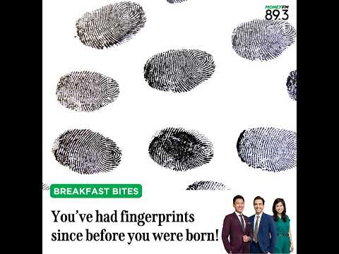 Breakfast Bites: You've had fingerprints since before you were born!