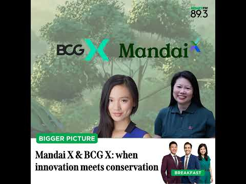 Bigger Pic: Innovation meets conservation with Mandai X and BCG X